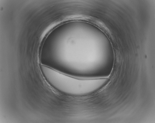 X0000076051328200609220900