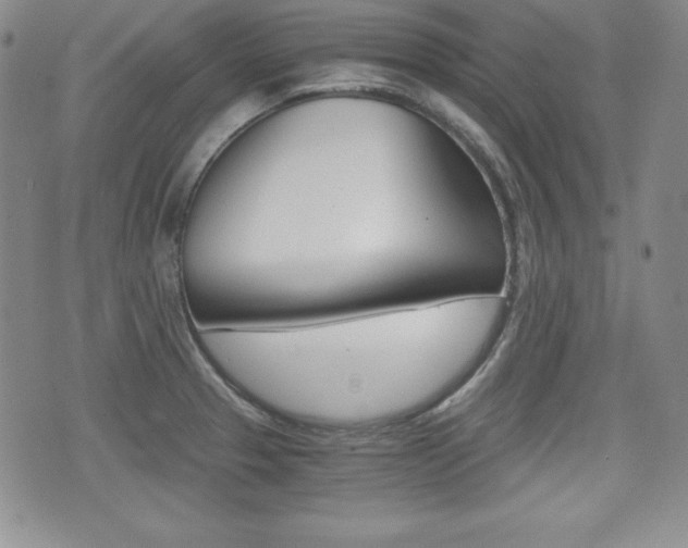 X0000076051329200609220900