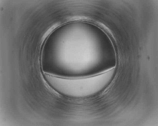 X0000076051330200609220900