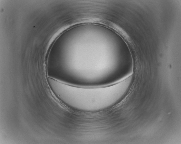 X0000076051332200609220900