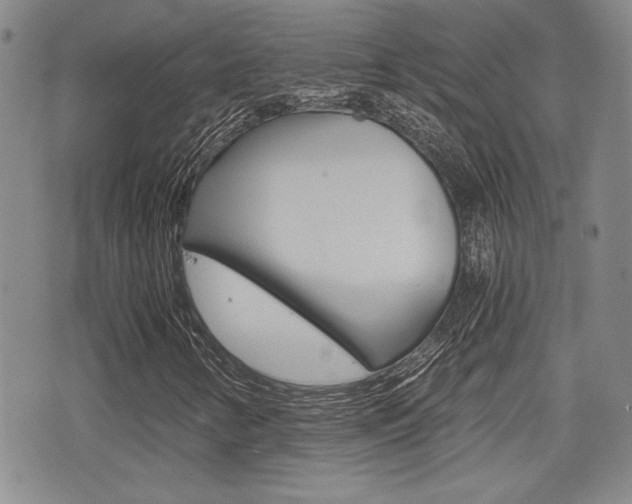 X0000076051346200609220859