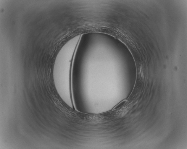 X0000076051348200609220859