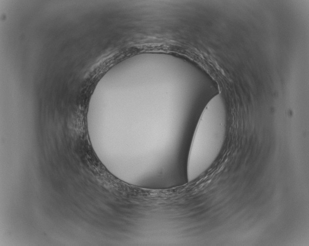 X0000076051350200609220859