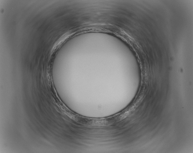 X0000076051354200609220859
