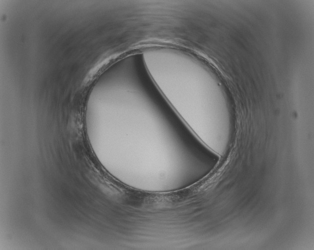 X0000076051355200609220859