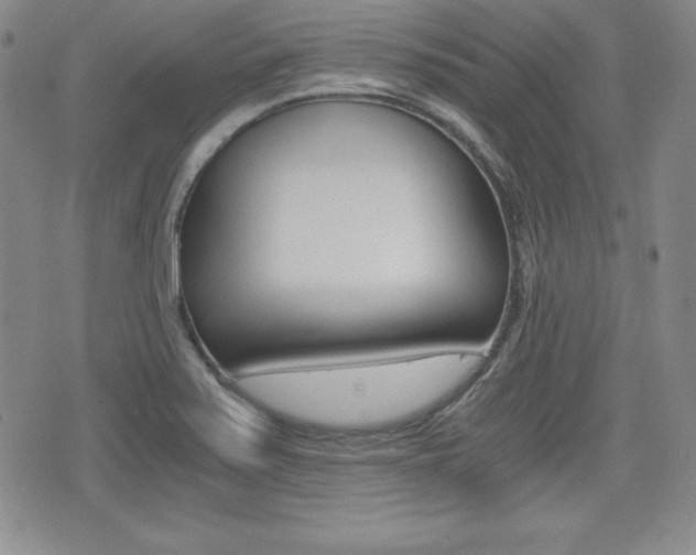 X0000076051371200609220859