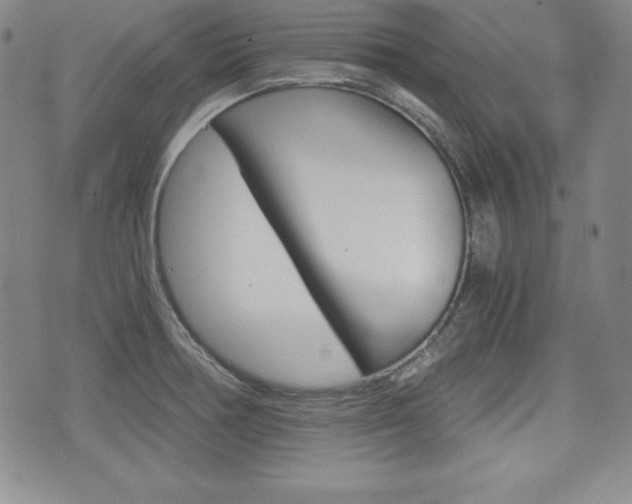 X0000076051378200609220859