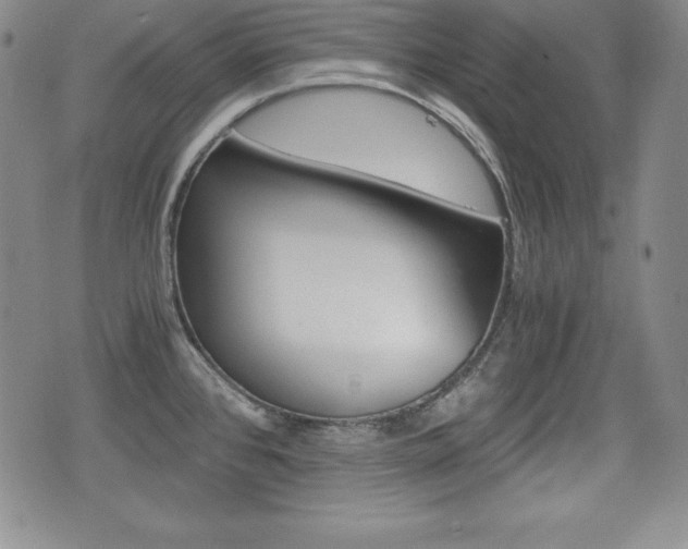 X0000076051384200609220859