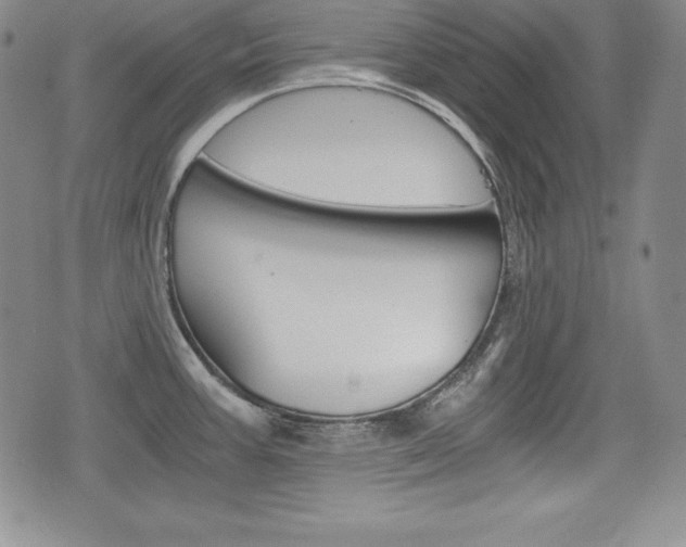 X0000076051387200609220858