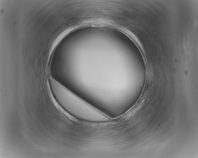 X0000076051389200609220858