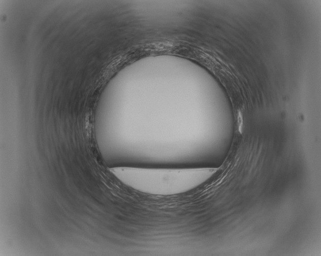 X0000076051395200609220858