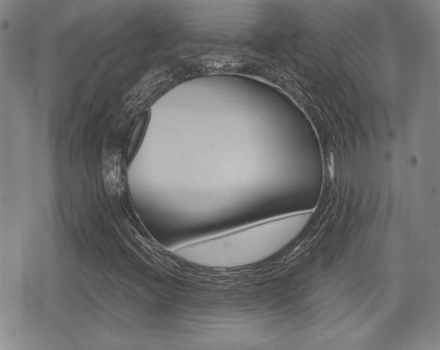 X0000076051396200609220858