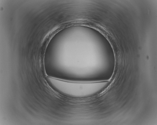 X0000076051402200609220858