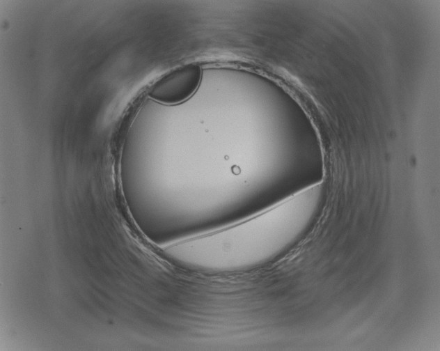X0000076051408200609220858