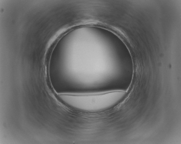 X0000076051414200609220858