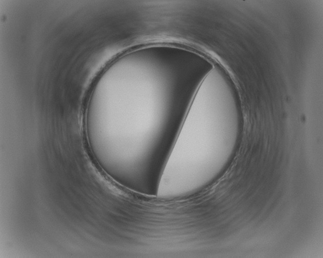 X0000076051416200609220858
