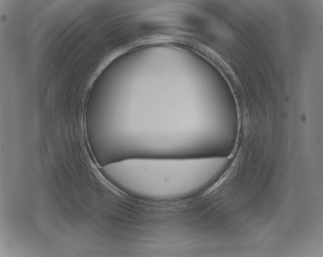 X0000076051417200609220858