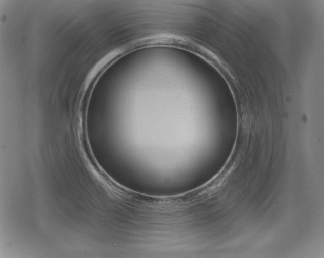 X0000076051418200609220858