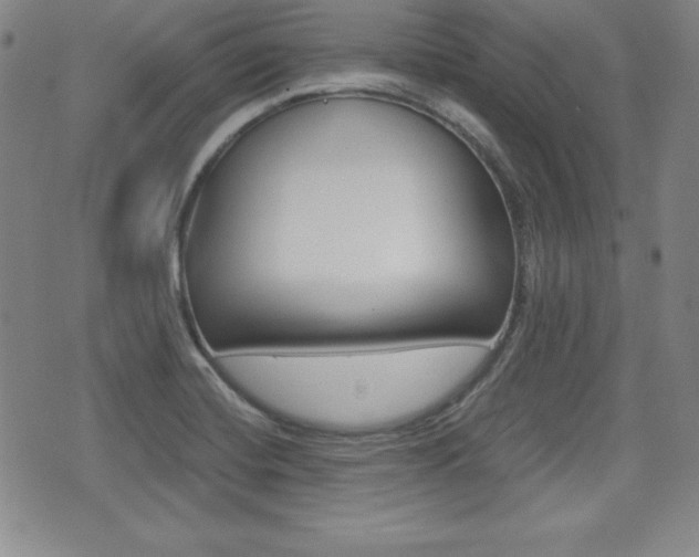 X0000076051420200609220858