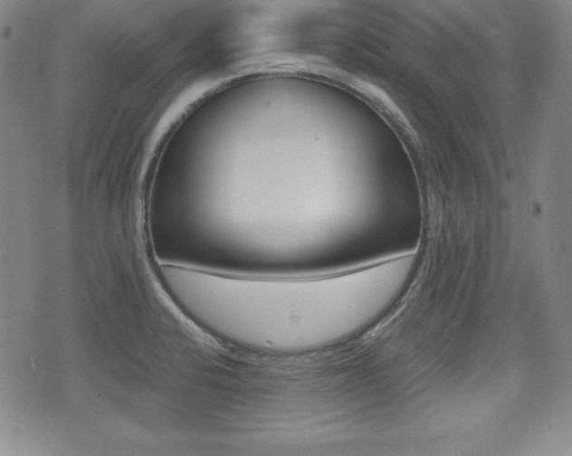 X0000076051424200609220858