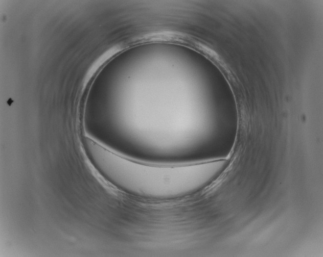 X0000076051426200609220858