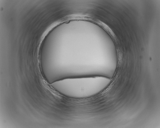 X0000076051435200609220858