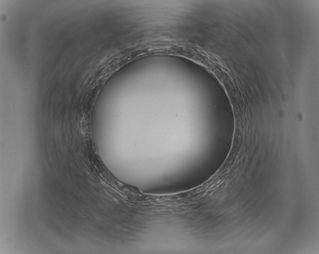 X0000076051445200609220858