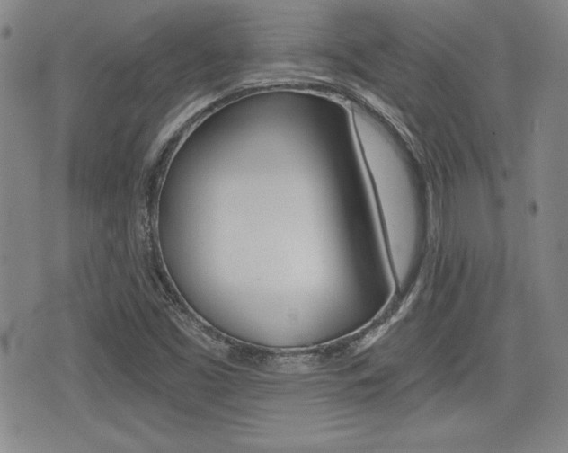 X0000076051453200609220857