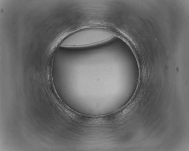 X0000076051455200609220857