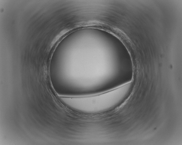 X0000076051457200609220857