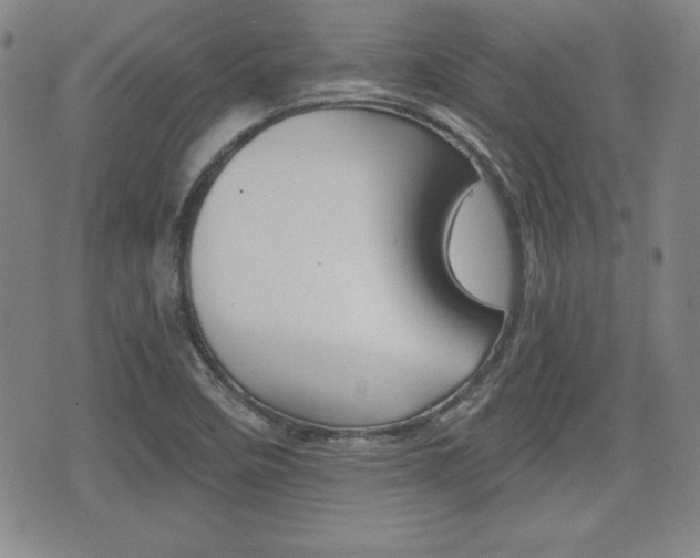 X0000076051458200609220857