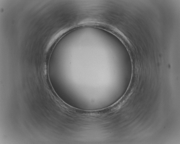 X0000076051461200609220857
