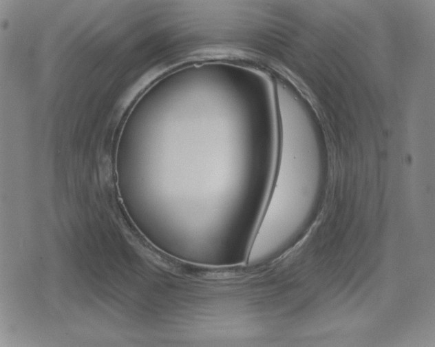 X0000076051465200609220857