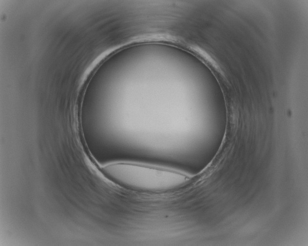 X0000076051468200609220857