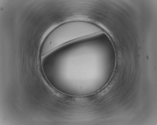 X0000076051469200609220857