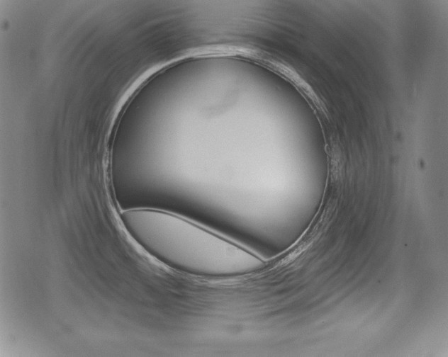 X0000076051484200609220857