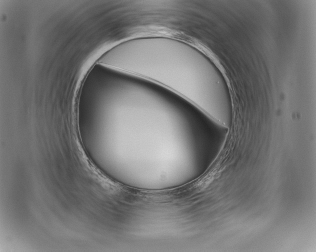X0000076051488200609220857