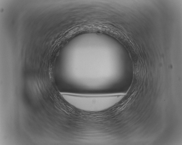 X0000076051490200609220856