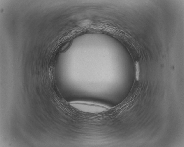 X0000076051491200609220856