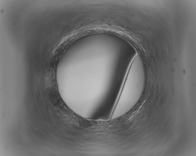 X0000076051494200609220856