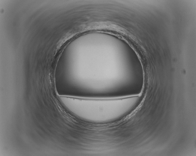 X0000076051497200609220856