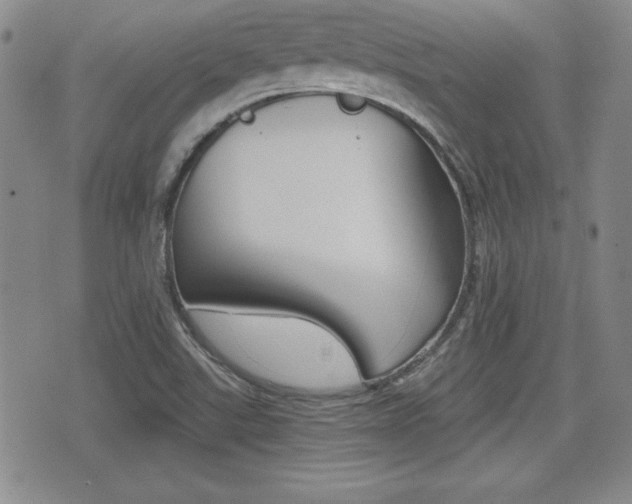 X0000076051507200609220856