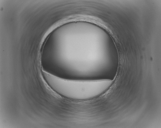 X0000076051522200609220857
