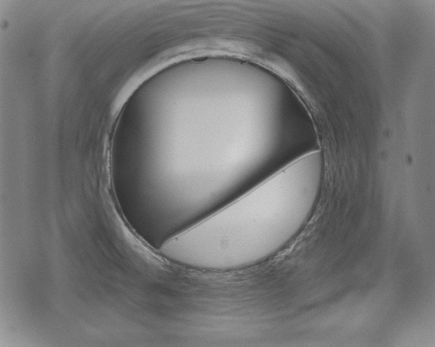 X0000076051524200609220857