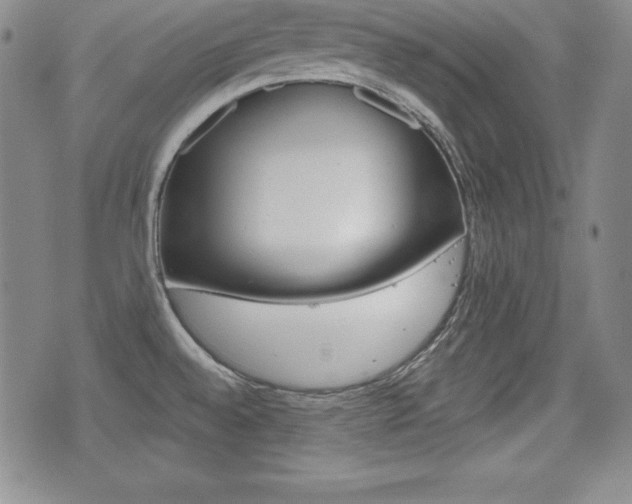 X0000076051528200609220857