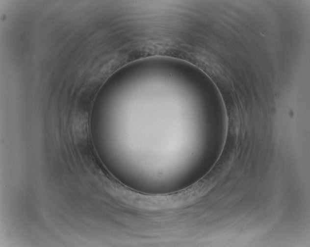 X0000076050034200609221109