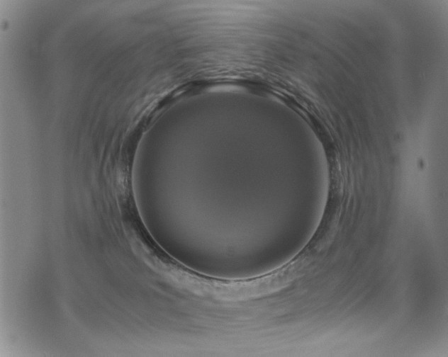 X0000076050039200609221109