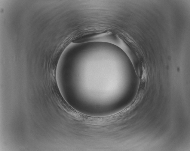 X0000076050045200609221109