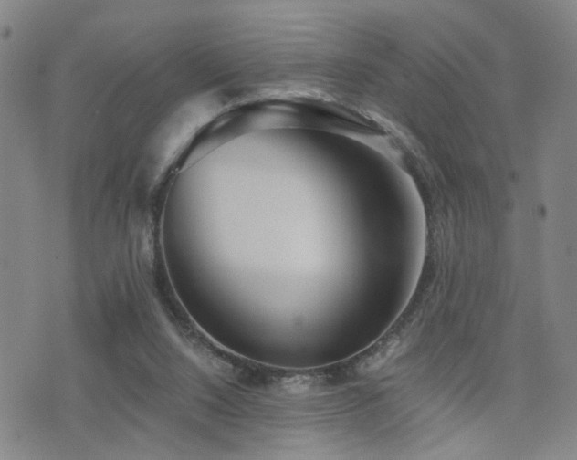 X0000076050064200609221108