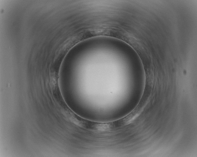 X0000076050085200609221109